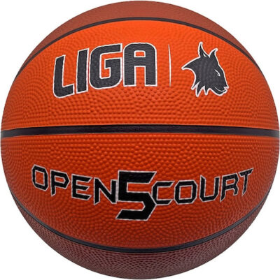 Liga Sport - Open Court Basketball Indoor