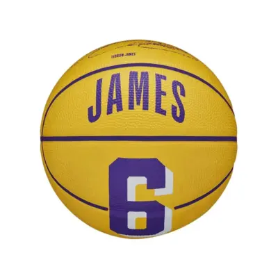 Wilson - NBA Player Icon Mini Μπάλα Μπάσκετ LeBron James