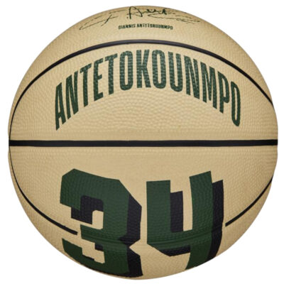 Wilson - NBA Player Icon Mini Basketball Giannis