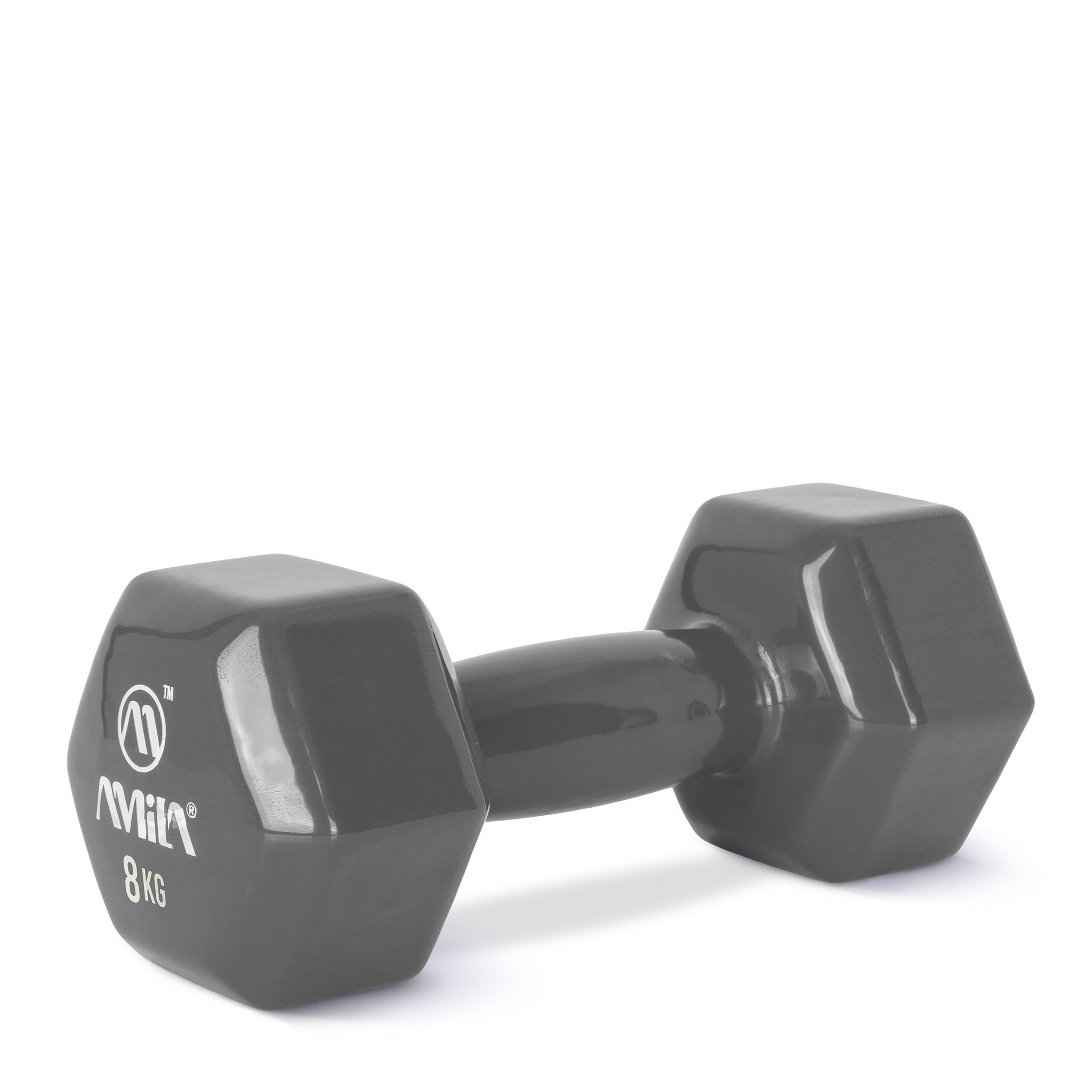 Amila Vinyl Dumbbell 8Kg - 44122