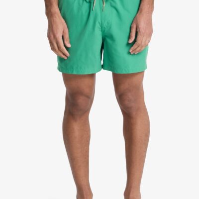 Quiksilver Ανδρικό Μαγιό Σόρτς - Everyday Solid Volley 15 - EQYJV04120-gnz0 - Leprechaun