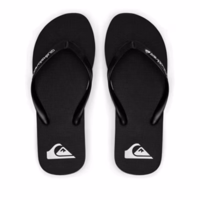 Quiksilver - Molokai Core