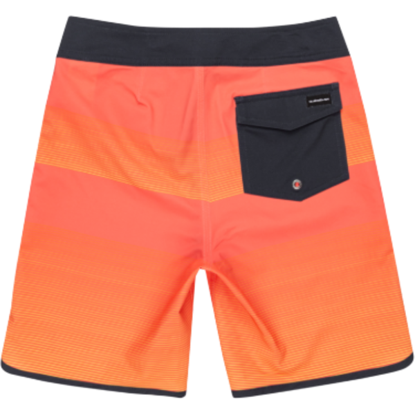Quiksilver - Surfsilk Scallop Yth 17 - Image 2